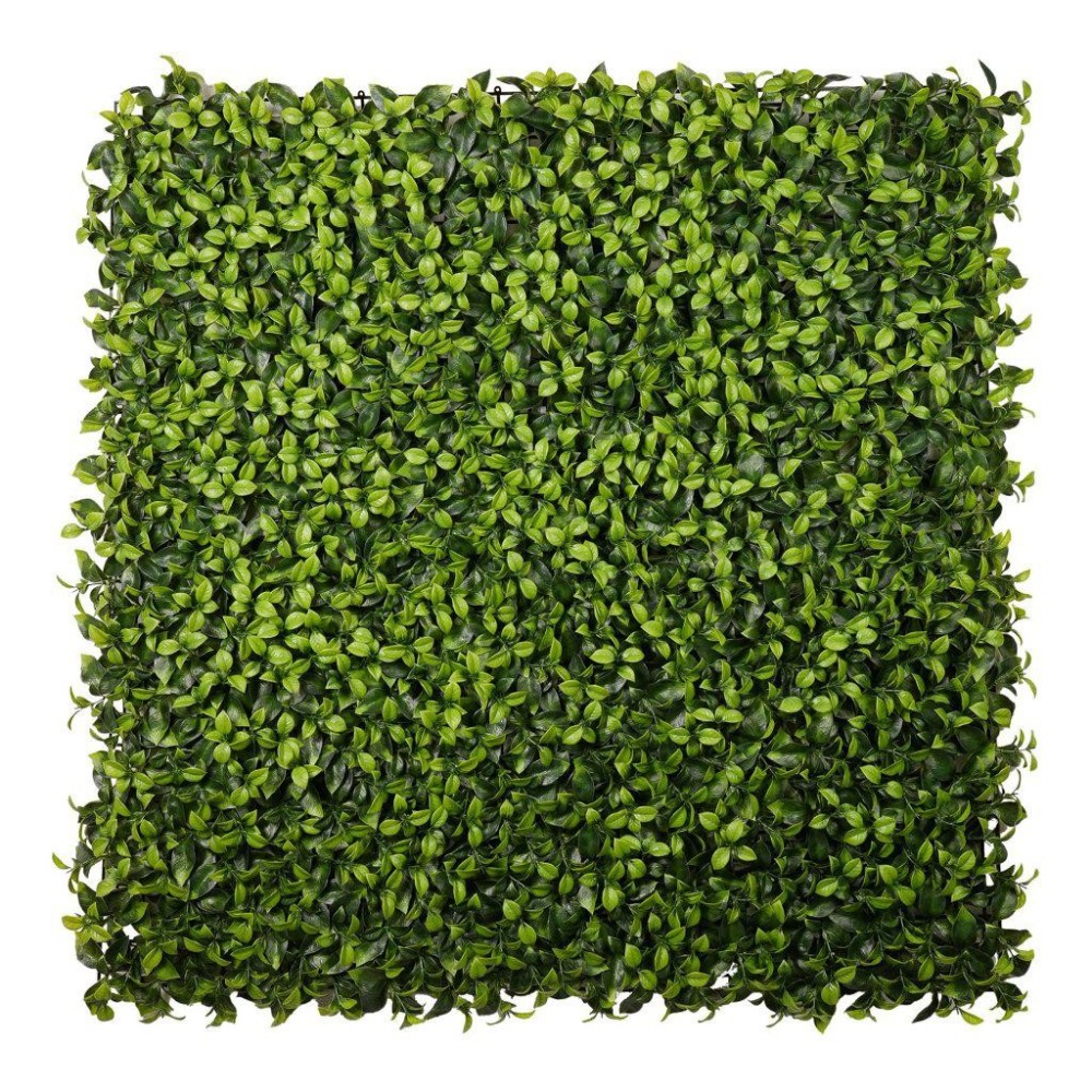 MATTONELLA RUSCUS CM.100x100